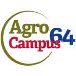 Image / illustration