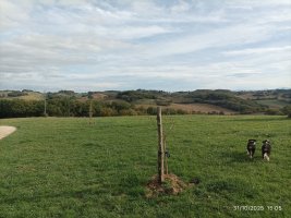 Image / illustration