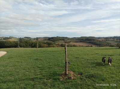 Image / illustration