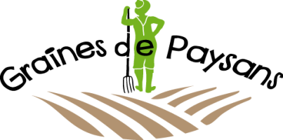 Image / illustration